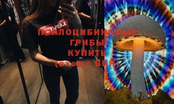 спайс Абдулино