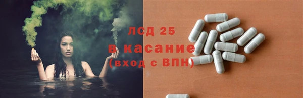 гашик Алексин