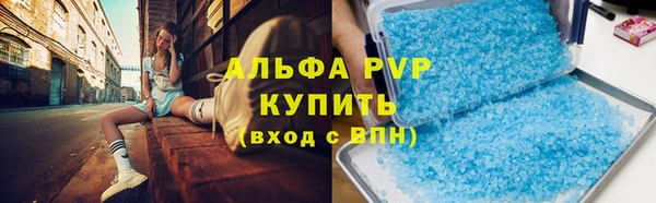 гашик Алексин