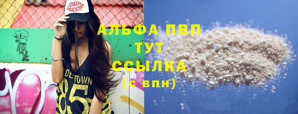 гашик Алексин