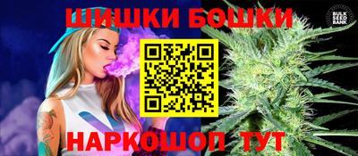 сатива Новозыбков