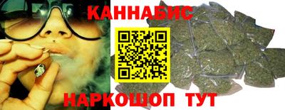 сатива Новозыбков