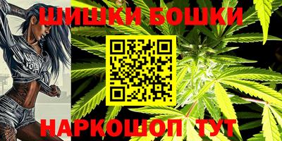сатива Новозыбков
