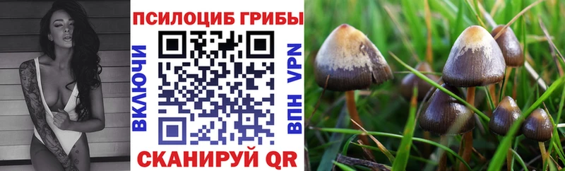 Галлюциногенные грибы мицелий  Ялта 