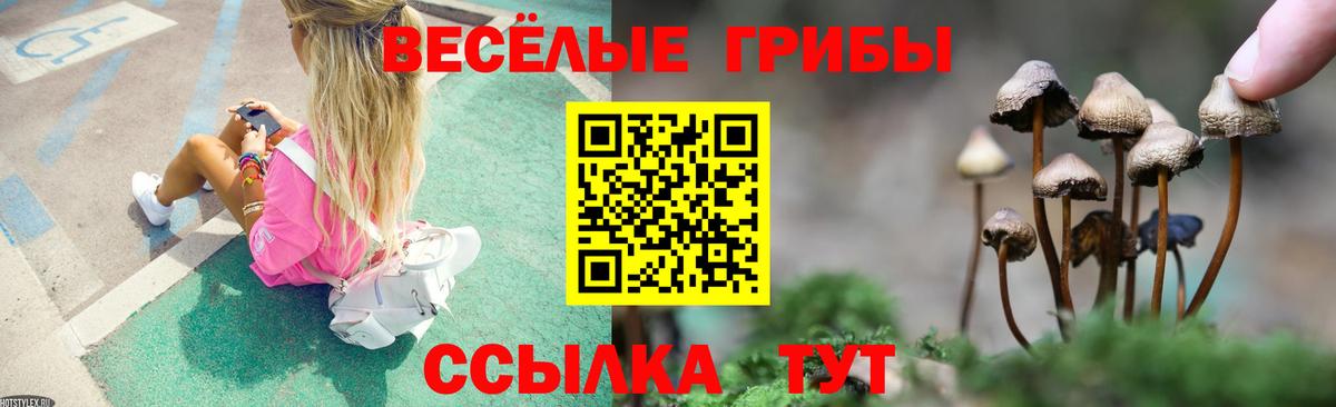 Псилоцибиновые грибы Magic Shrooms  Псилоцибиновые грибы Cubensis  Ялта  Вход с VPN 